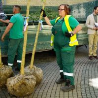 Virágzó Kecskemét – Európa előtt mutatkozik be a „tájra hangolt város” (VIDEÓ)