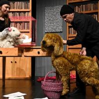 Ebcsont és nyúlcipő – Újra műsorra tűzi a Ciróka Bábszínház a Budaörsi Latinovits Színházzal közös produkcióját