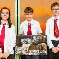 Varjú Lajos Országos Természettudományi Emlékverseny az Arany János Általános Iskolában