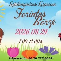 Újra Forintos Börze lesz a Széchenyivárosi Kispiacon