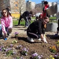 400 virággal gazdagodott az Érzékelések kertje