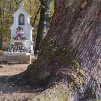 Folytatódik a csendes őszi idő a hétvégén is
