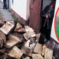 Tőzsér Judit idén is faadományt adott a rászorulóknak