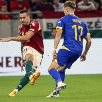 Botka Endre a válogatott keretében