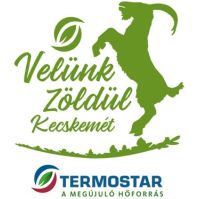 A TERMOSTAR Kft. ingyenes szakmai támogatást biztosít az új távhőpályázaton induló lakóközösségeknek