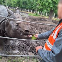 Állati jó – Egy Vadaspark állatai lakmároztak a szabálytalanul szállított rakományból
