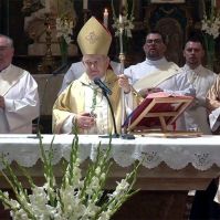 Fél évszázad papi szolgálatának ünnepe – Bábel Balázs érsek aranymiséje Kecskeméten (VIDEÓ)