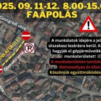 Faápolás miatt lezárják az Ótemető utcát