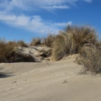 Lehűléssel indul a hét, és visszatérnek a hajnali fagyok is