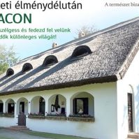 A KEFAG Zrt. különleges programmal készül az Erdők Éjszakájára Bugacon