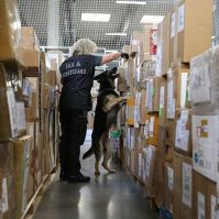 NAV: Karácsonyi ajándék az internetről? Rendelés csak megbízható helyről!