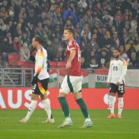 Nikitscher Tamás stabil volt a válogatottban