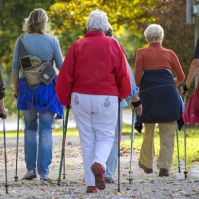 Ingyenes nordic walking oktatás Kecskeméten