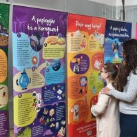 Kecskeméten startolt a „Szeretem a papírt” országos kampány vándorkiállítása