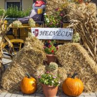 XXX. Szüreti nap Helvécián – Hírportálunkon a program