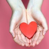 29. Heti véradási események