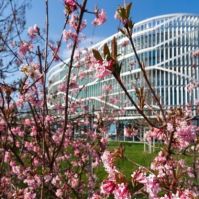 Gyors, erős, nemzetközi! A Kecskeméti Neumann János Egyetem a modellváltás nyertese