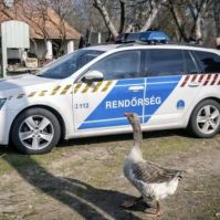 Tanyaakciót tartottak Bács-Kiskunban