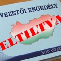 Eltiltottak őrizetben