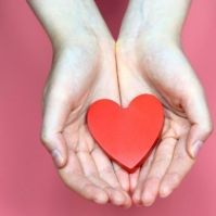 10. Heti véradási események Bács-Kiskunban