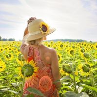 A legmagasabb fokozatú figyelmeztetést adták ki Bács-Kiskun vármegyére keddre