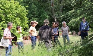 Botanikus kertek és arborétumok szakemberei találkoztak a Kecskeméti Arborétumban