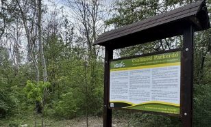 Látványos fejlődés a Csalánosi Parkerdőben – Egy hónap után biztatóak az eredmények
