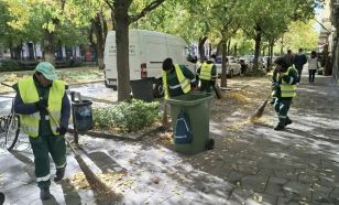 Kecskeméten is beszökött az ősz! Hullanak a közterületeken a levelek