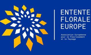 Egy hét múlva érkezik Kecskemétre az Entente Florale Europe nemzetközi zsűrije