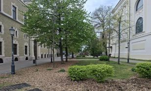 Kecskeméti Városüzemeltetési Nonprofit Kft: Fűre lépni szabad!