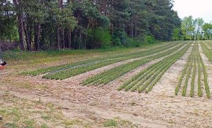 Bolgár erdészeti szakember járt a KEFAG Zrt.-nél – Több mint egy évtizedes együttműködés erősödött tovább