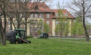 Kecskeméti Városüzemeltetési Nonprofit Kft: Vágni vagy nem vágni?