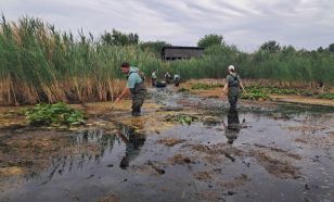 Soha nem volt ilyen alacsony a Kolon-tó vízszintje – Mentőakció indult a fokozottan védett lápi póc megmentéséért