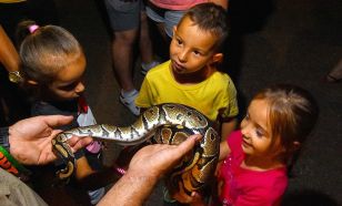Halloweeni Bor-zoo-ngás a Kecskeméti Vadaskertben