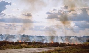 Hét hektáron égett a száraz fű Kecskemétnél