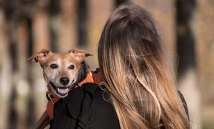 Az állattartóknak kiemelt felelősségük van a hőségriadó idején