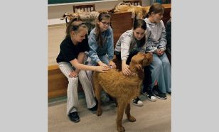 Rendhagyó természetismereti órát tartottak gyerekeknek a KEFAG Zrt. szakemberei