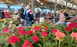 Nyári nyitvatartás és május 1-i rend a kecskeméti piacokon