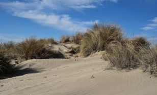 Lehűléssel indul a hét, és visszatérnek a hajnali fagyok is