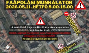 Hétfőn faápolás lesz a piac környékén