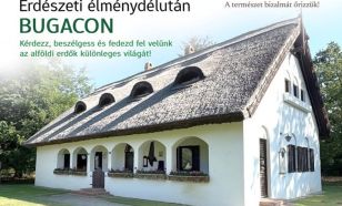 A KEFAG Zrt. különleges programmal készül az Erdők Éjszakájára Bugacon