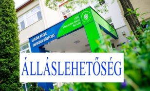 BIOLÓGIA - BÁRMELY szakos TANÁR kollégát keres a kecskeméti Mercedes-Benz Iskola