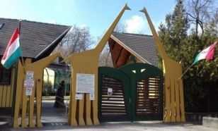 Állatkertek Éjszakája a Kecskeméti Vadaskertben
