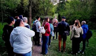 Madárdal és alkonyi fények tették teljessé az idei Fülemülék éjszakájának hangulatát az arborétumban