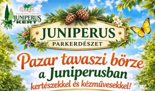 Tavaszi Zsongás Kecskeméten: Pazar Börzével Vár a Juniperus Parkerdészet!