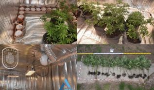Titkos helyiségben működött a napelemmel üzemeltetett cannabisültetvény
