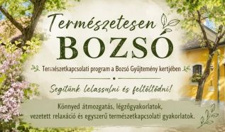 Lassulás és feltöltődés a Bozsó Gyűjtemény kertjében