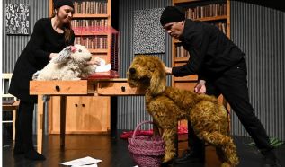 Ebcsont és nyúlcipő – Újra műsorra tűzi a Ciróka Bábszínház a Budaörsi Latinovits Színházzal közös produkcióját