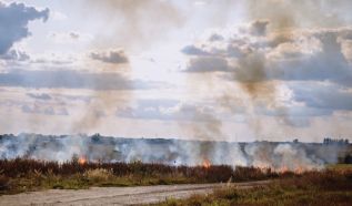 Hét hektáron égett a száraz fű Kecskemétnél