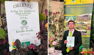 Kiváló Áruda díjat kapott a Juniperus Parkerdészet